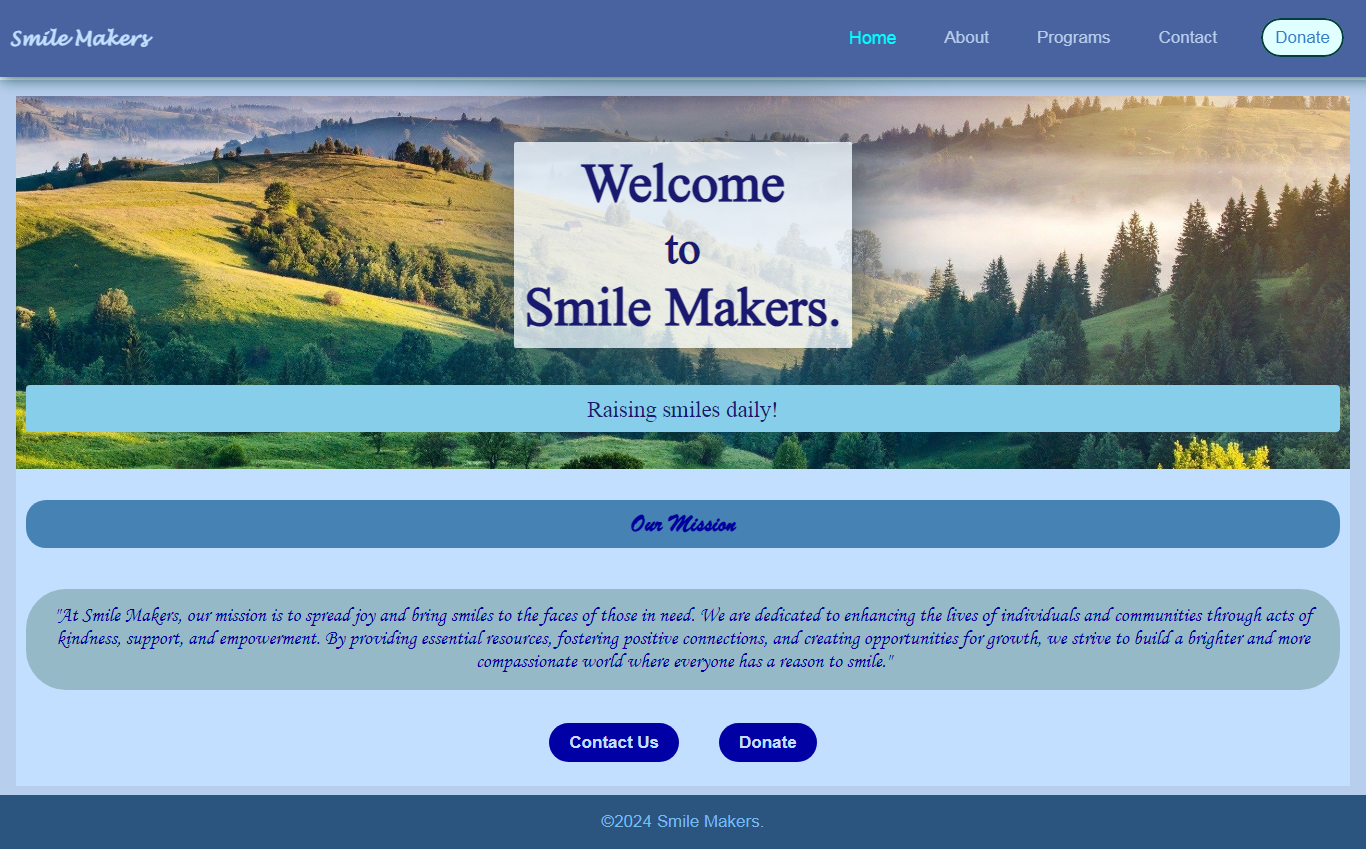 Charity Website preview